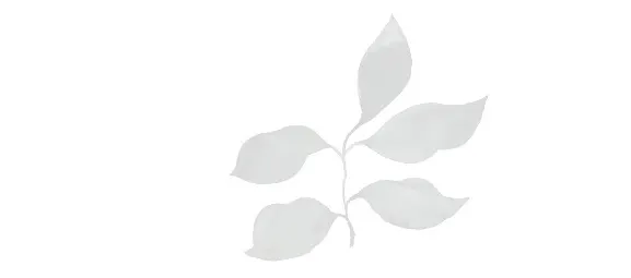 Honpo Living Room Project